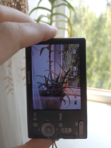 Sony Cyber-shot DSC-W190 12.1MP 3x Optical Zoom Digital Camera - 100% Working - Picture 10 of 12