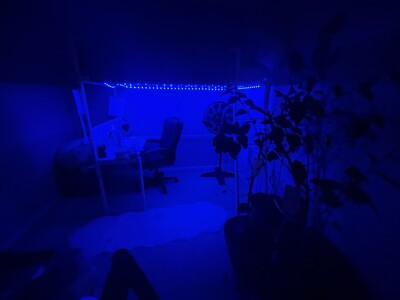 Free Shipping AFFORDABLE Cozy LED Bunk Bed with CREATIVE space  CUSTOMIZABLE