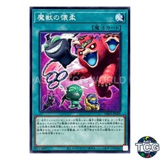 Obedience Schooled N DBJH-JP029 Justice Hunters Yu-Gi-Oh! Japanese