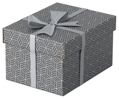 Esselte 3er Set kleine Aufbewahrungs- & Geschenkboxen mit Deckel, Schachteln für