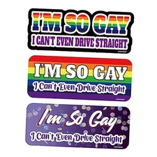  I'm So Gay I Can't Even Drive Straight Car Magnet - 8.7 x 3.5 in 