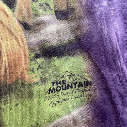 Vintage The Mountain Wolves Shirt Herren XL Tie Dye Native Graphic Art 2005 00s - Bild 2 von 8