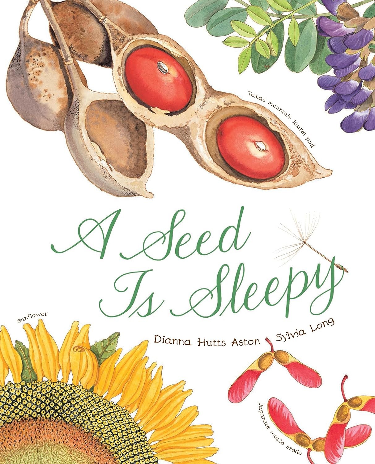 A Seed Is Sleepy: (Nature Books for Kids, Environmental Science for Kids) (Sylv - Image 3