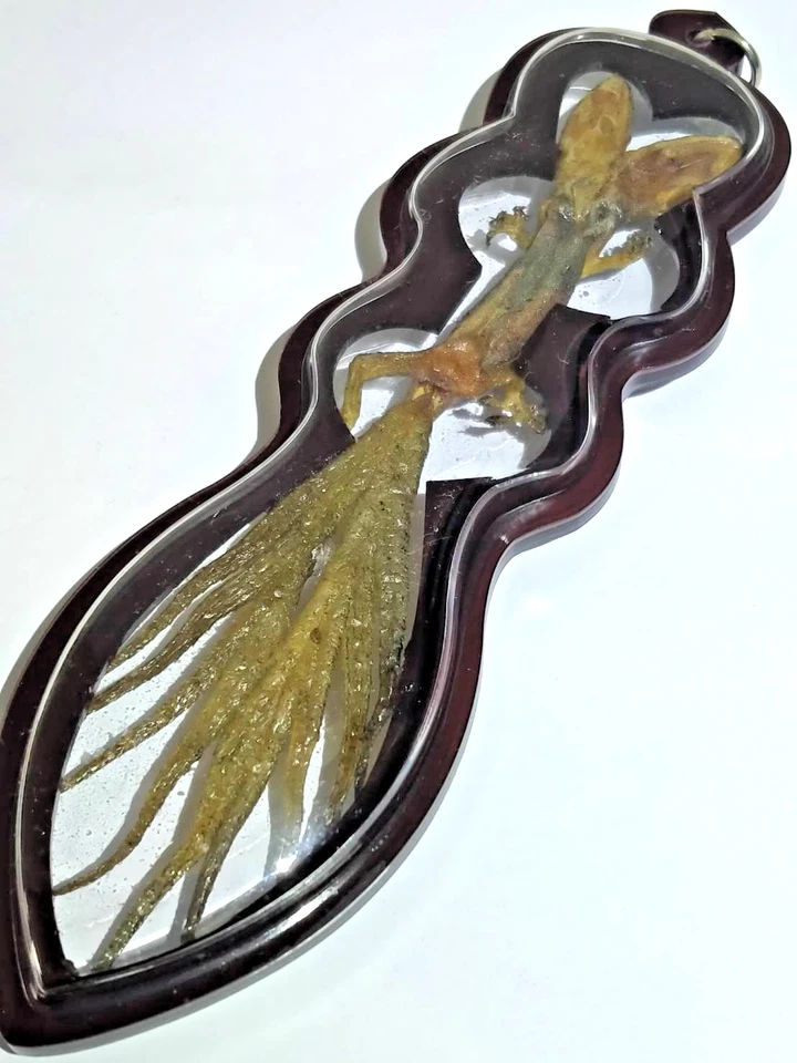 Тайский амулет Jing Jok 2 Head 9 Tail Magic Wealth Success Fortune талисман удачи - Изображение 3 из 4