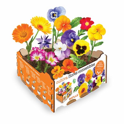 Set de culture Batlle Seed Box Kids 5 Pièces main image 1
