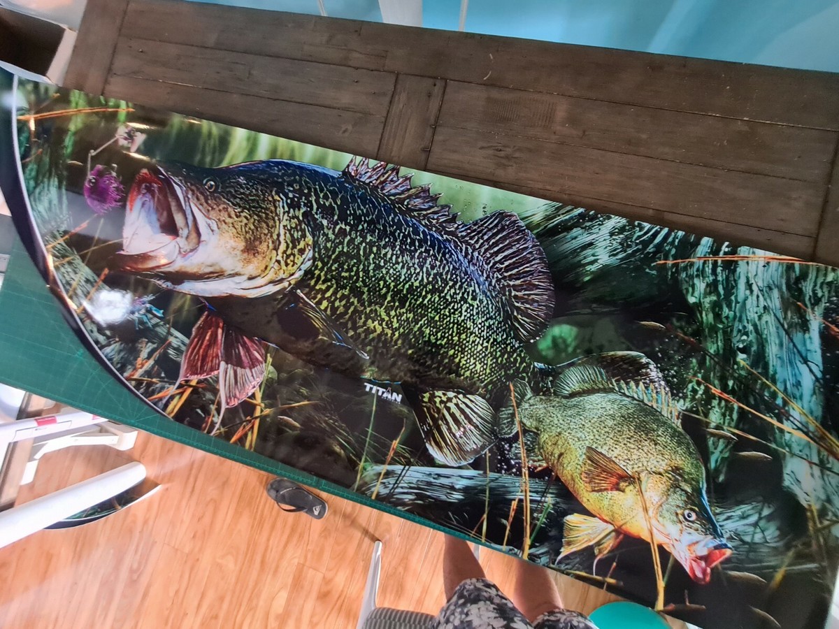 Murray Cod Tattoos River Escapes, Ultimate Murray Cod Guiding