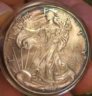 2007 Silver American Eagle (BU), Colorful periperal toning, Velvet Box, 5200