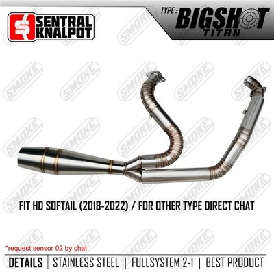 1999-2005 Harley Davidson Dyna Super Glide FXD Auspuffanlage 2-1 Bass Fit