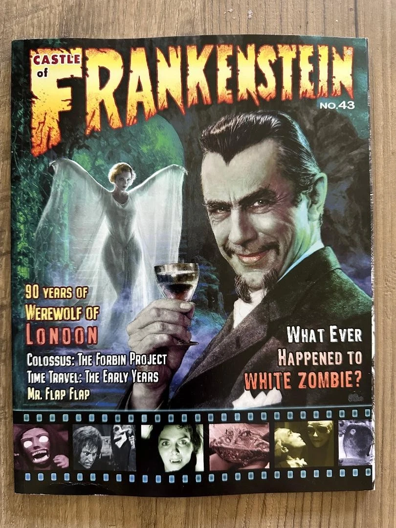 ビンテージ90s CASTLE OF HORROR ホラーポスター　フランケン他 castle of frankenstein products for sale | eBay