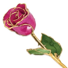 Lacquer Dipped Gold Trimmed Fuchsia Real Rose - FREE SHIPPING
