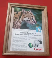 Canon F1 / Fd 150-600mm Camera Print Advert 1988 UNFRAMED 6.5x10" Ocelot Cat