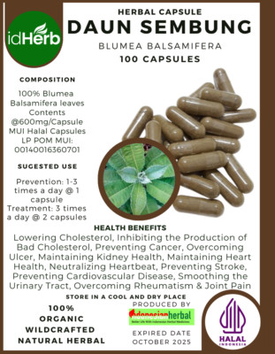 [idHerb] Herbal CAPSULES Blumea Balsamifera Daun Sembung Natural Organic Herbs