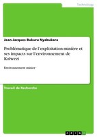 ProbléMatique De L'exploitation MinièRe Et Ses Impacts Sur L'environnement De Ko