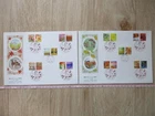 Japan Stamp First Day Cover Greetings Autumn 2 Covers Large format 2023