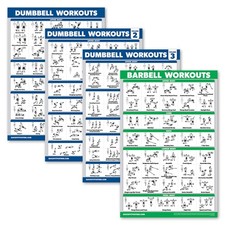 Palace Learning 4 Pack - Dumbbell Workout Posters Volume 18" x 24", LAMINATED