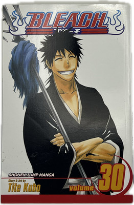 Bleach 30 Englisch Manga