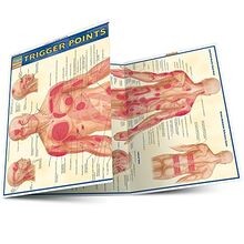 Trigger Points (Quickstudy: Academic) | Buch | Zustand sehr gut