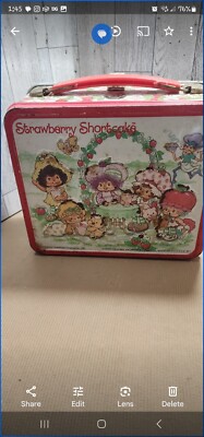 Vintage Aladdin 1981 Strawberry Shortcake Metal Lunchbox Made In