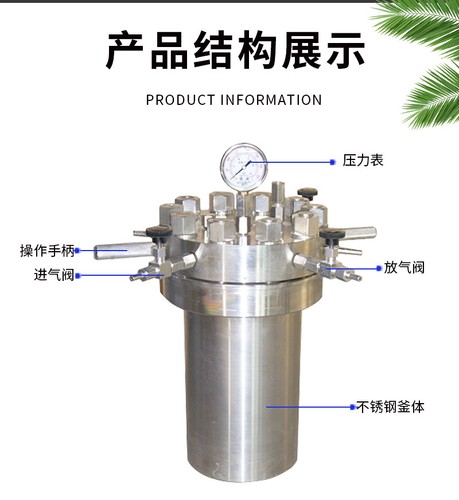 Reattore Idrotermico Autoclave Alta Pressione 100~1000ML 380°C 22Mpa Personalizzabile - Foto 5 di 12