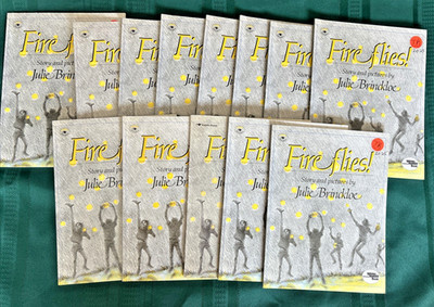 13 Book Lot - Fireflies Julie Brinckloe  Great Reading Rainbow Teacher Resource