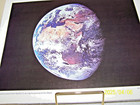 Set of 11 Pictures Taken by the Apollo 11 Team on the First Mission to the Moon — photo 3
