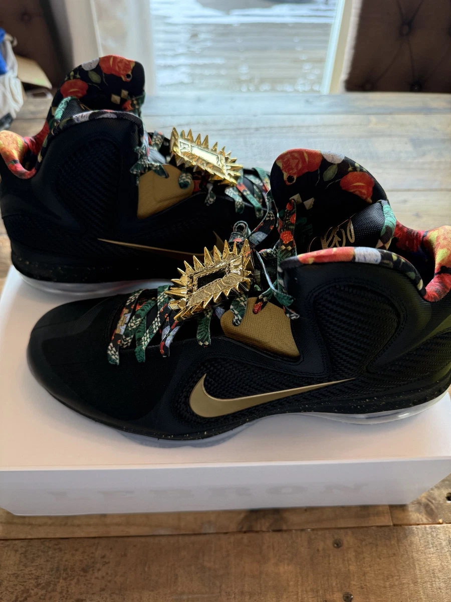 Nike LeBron 9 2022 Watch The Throne | eBay