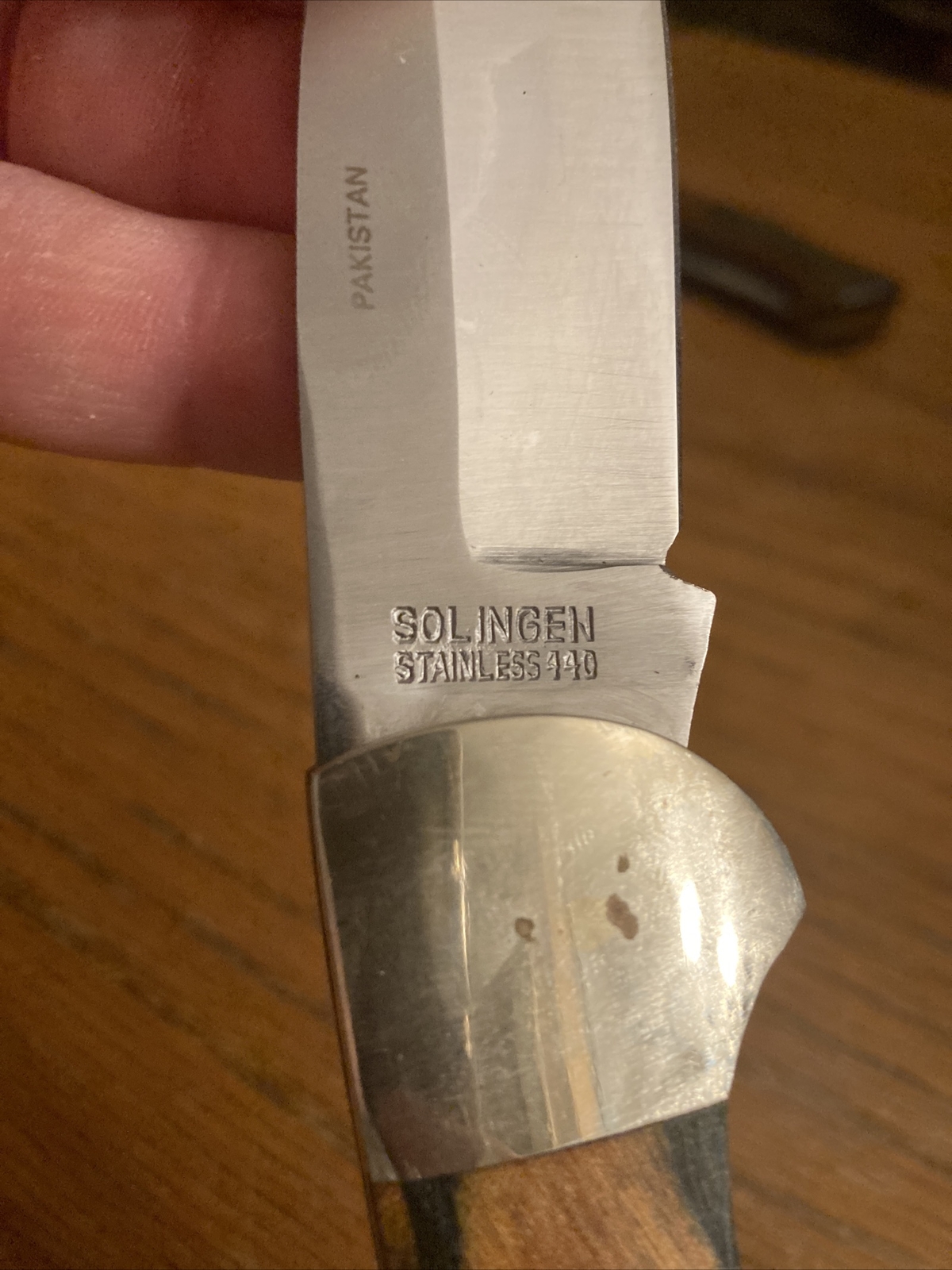 Bear Hunter Folding Hunting Knife Stained Wood Handle Solingen