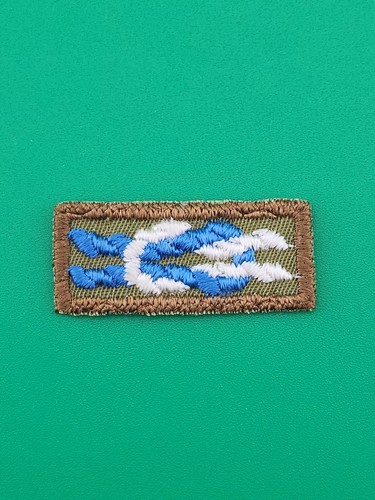 Silver Beaver Award Knot Khaki Patch Gauze Back BSA Scouts America
