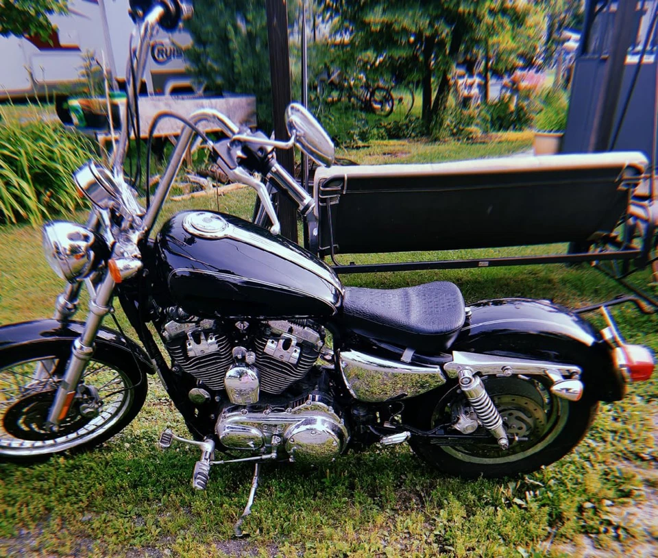 Cojín de asiento individual para conductor delantero de hierro para Harley Sportster XL1200 883 Foto 2 de 4