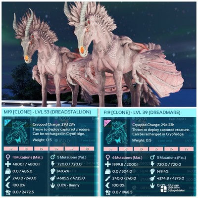 Ark Survival Ascended PVE SOLID LIGHT RED DREADMARE PAAR XBOX/PC/PS5