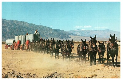 Szenerie Twenty Mule Team Postkarte Alt Vintage Karte Souvenir Postkarte