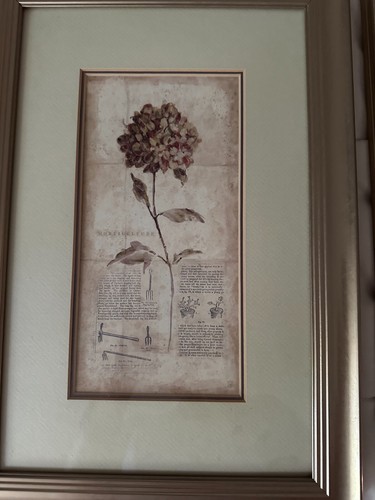 Tre stampe botaniche abbinate incorniciate. Made in Canada. - Foto 2 di 5