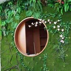 Foto 19 di 30