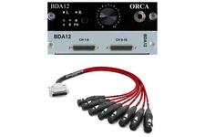 Burl Audio BDA12 ORCA | 12-Ch DAC/Control Monitor Card for B16 MOTHERSHIP 3