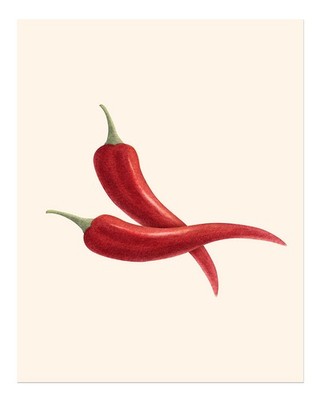 Lebendige Chili-Pfeffer-Wandkunst für Küchendekor Minimalistische Natu