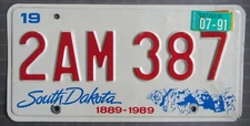 South Dakota 1991 License Plate HIGH QUALITY # 2AM 387