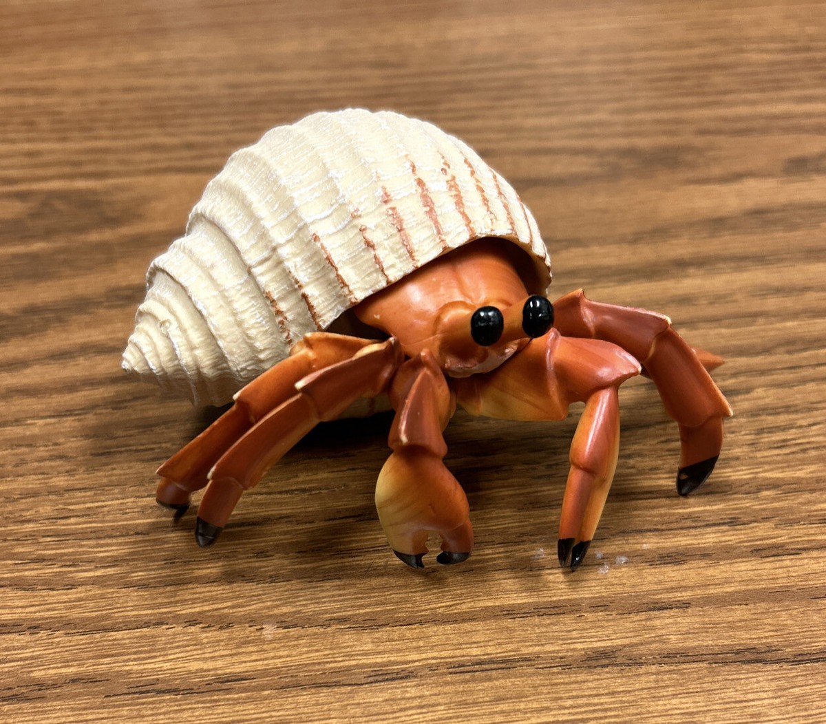 Hermit Crab Incredible Creatures Figure Safari Ltd Crustation Toy