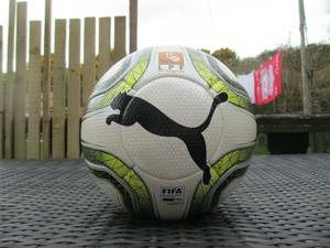 puma final 1 statement