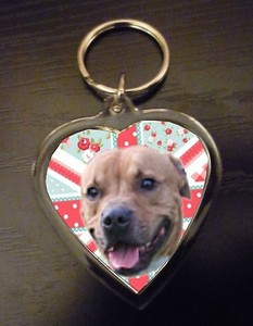 staffy keyring