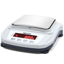WELLiSH Digitalwaage 2000 g x 0,01 g Juwelierwaage Goldwaage Labor LCD Tara