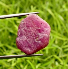 100.00 Natural Mozambique Pinkish Red Ruby Unheated Loose Raw Rough 51.50 Ct