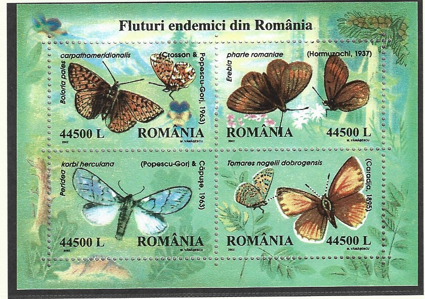 Foto 1 di 1