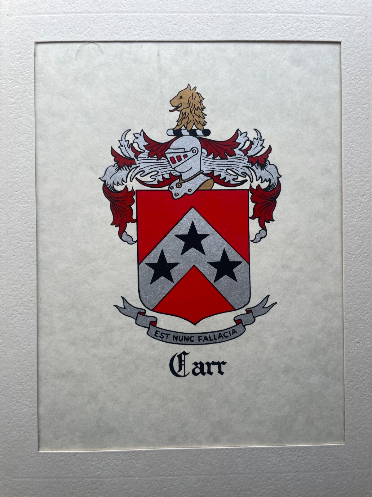 Picture 296 of 297