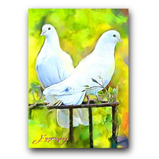 White Dove #2 Art Card Limited 30/50 Edward Vela Signed (Animals Birds)