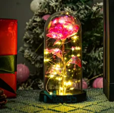 Rose Flower In Glass Gifts For Women Wife Her Valentine Girlfriend Birthday Gift