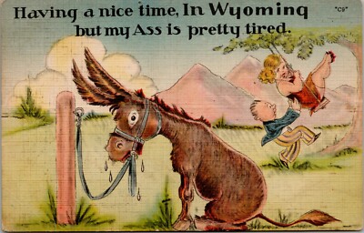 Postcard Having a nice time in Wyoming but my Ass is pretty tired