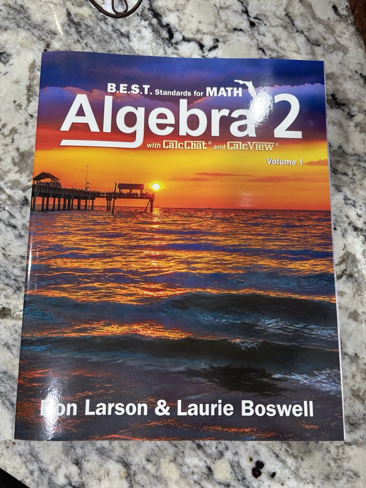 New B.e.s.t Standards For Math Algebra 2 Calcchat And Calcview Volume 1 Larson