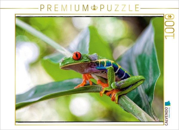 Calvendo Puzzle Rotaugenlaubfrosch 1000 Teile Puzzle Quer | 1000 Teile Lege-Größ-image