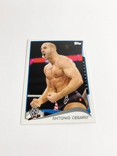 Antonio Cesaro 2014 Topps WWE Base Card # 57