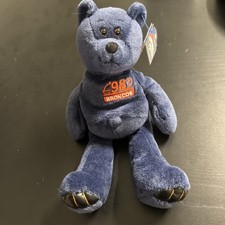 Vintage Terrell Davis Denver Broncos 1999 Limited Treasures Beanie Bear Football